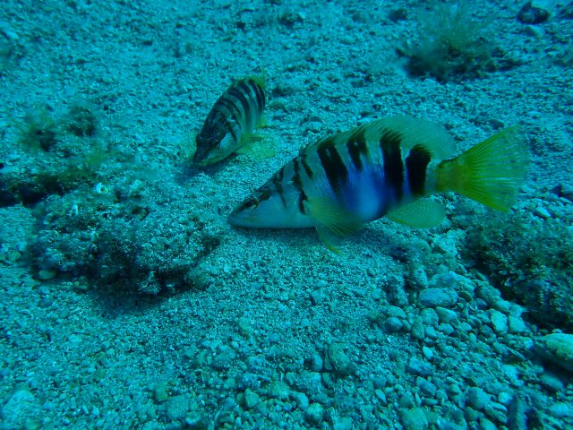 foto 18.06.19 21 05 34